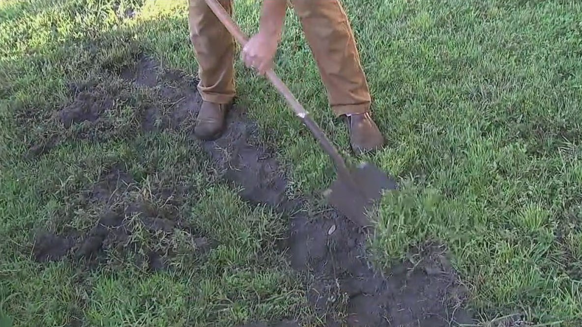 How to start a garden at home